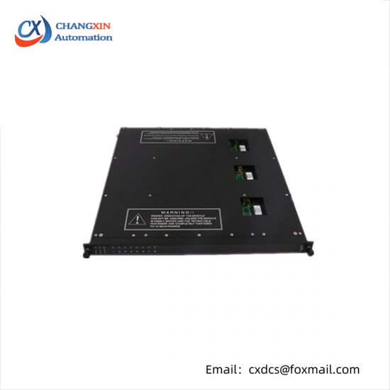 TRICONEX 9561-810