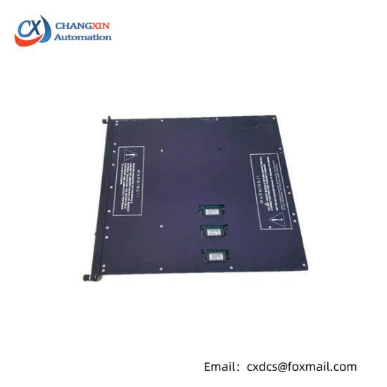 TRICONEX 9563-810