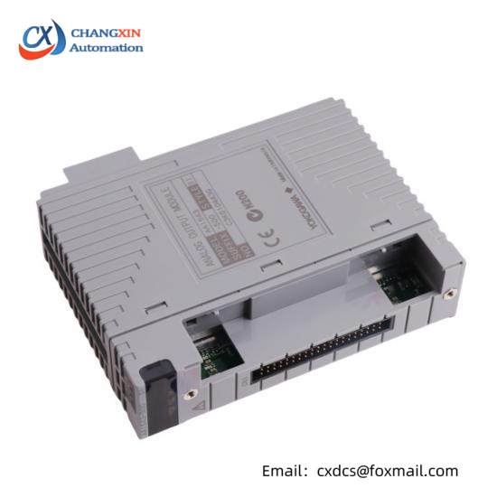 Yokogawa AAI543 Analog Output Module