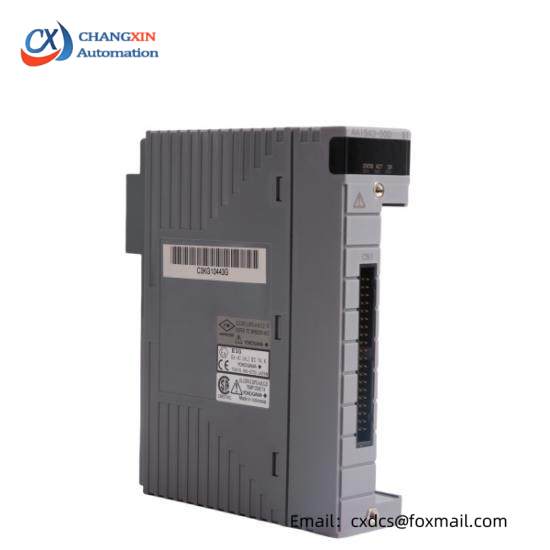 Yokogawa AAI543 Analog Output Module