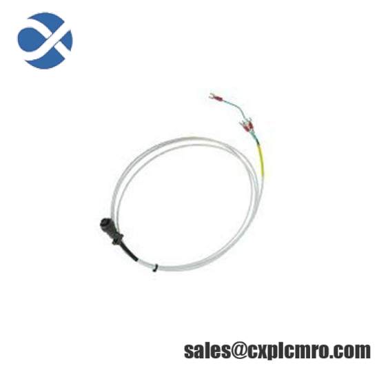 Bently Nevada 16925-12 Interconnect Cable