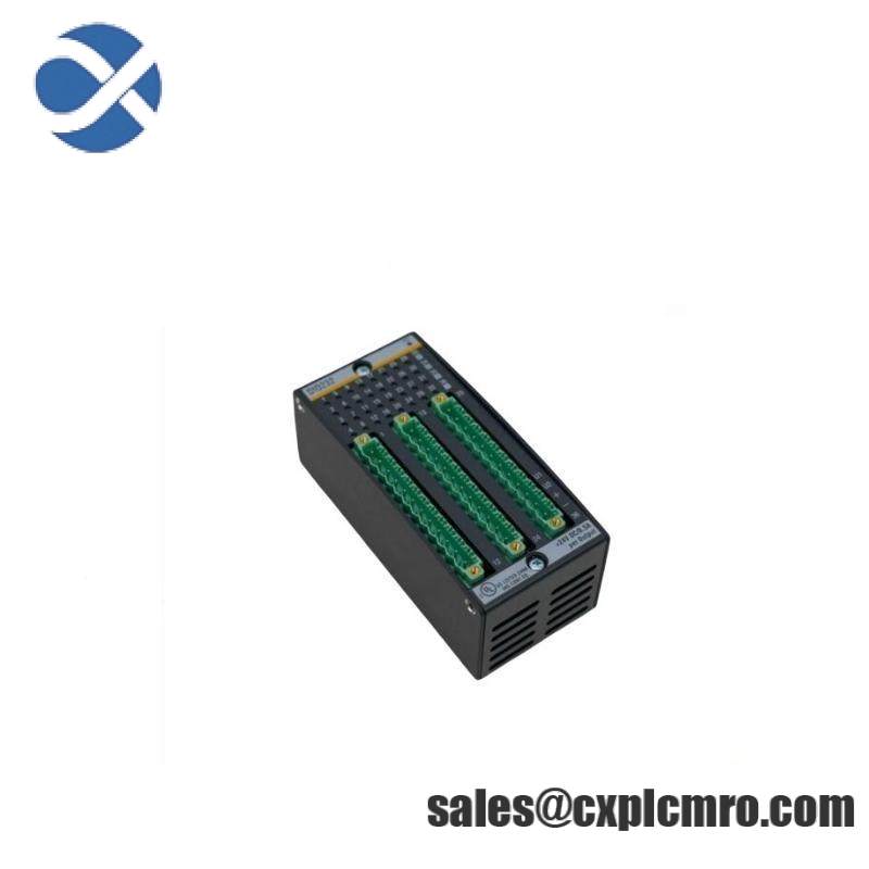 BACHMANN DI0232 Digital Input/Output Module