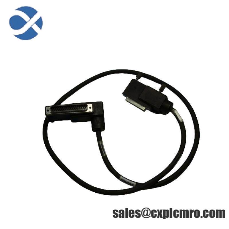 Foxboro P0916DB TERMINATION CABLE