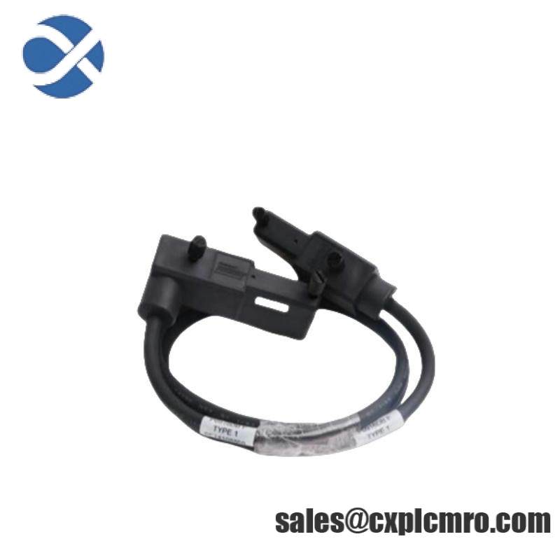 FOXBORO P0916DC TYPE 1 TERM CABLE