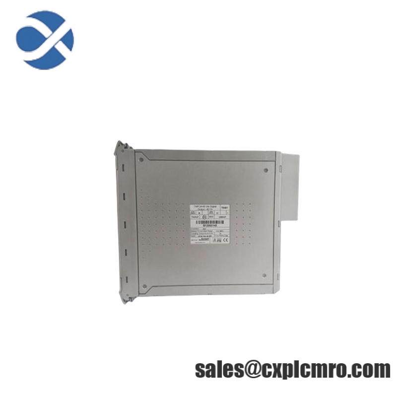 ICS TRIPLEX T8461