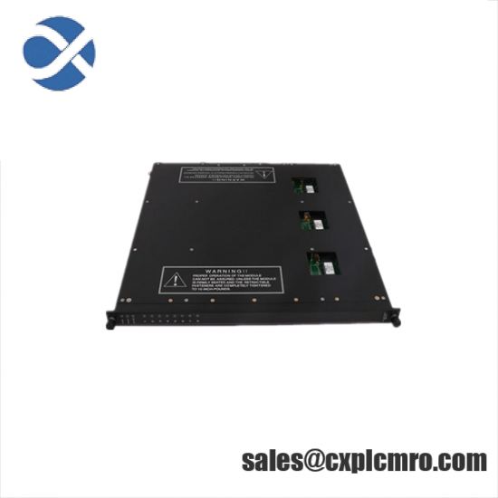 Triconex 1400010-001 module