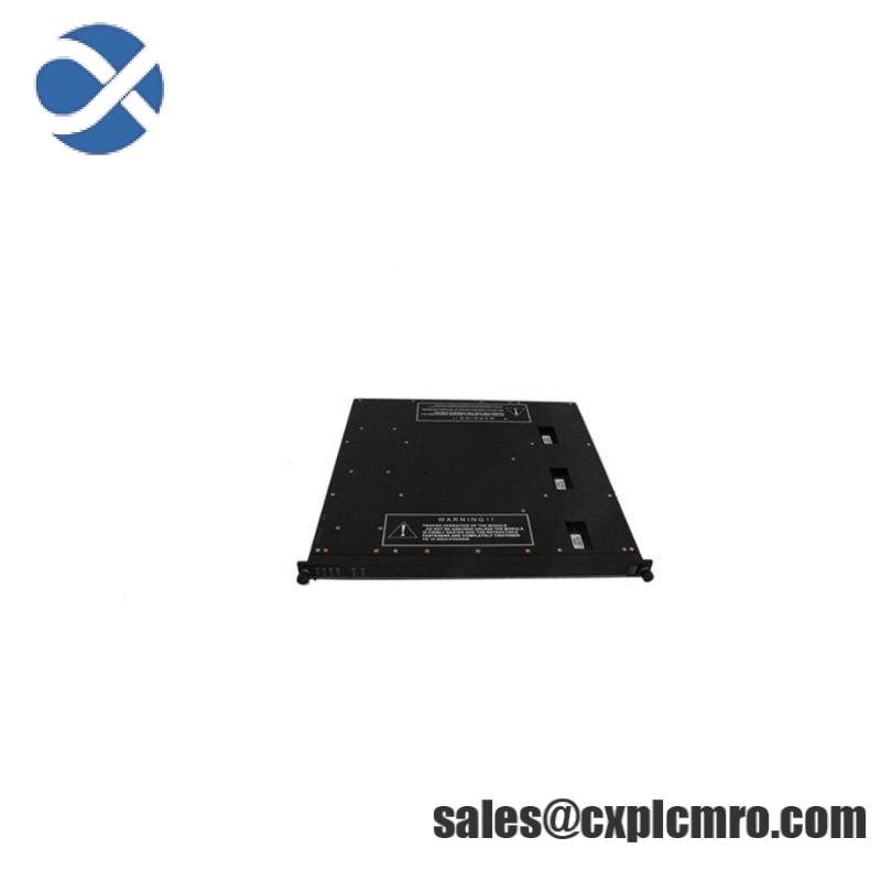 TRICONEX 4000094-320 Module