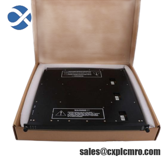 Triconex Termination Panel for 2755 7400061-600