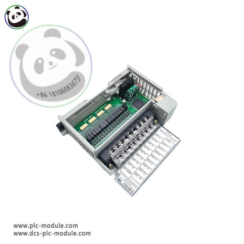 AB 1769-OB16 INPUT MODULE