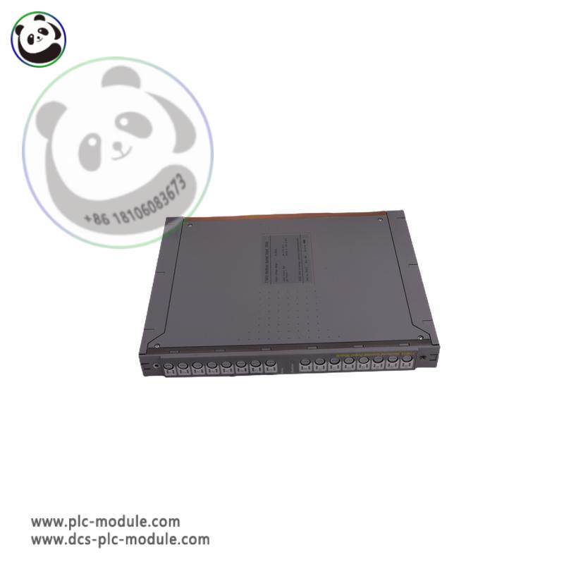 ICS TRIPLEX T3510 POWER SUPPLY MODULE