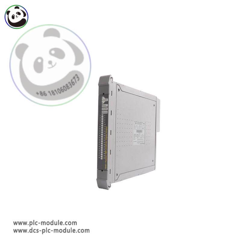 ICS TRIPLEX T8310 EXPANDER INTERFACE