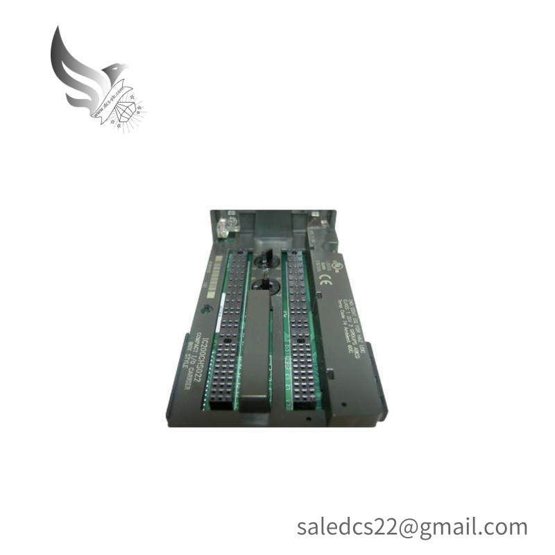 GE IC200CHS022 carrier module