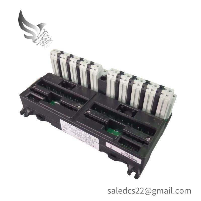 GE IC670CHS002 I/O terminal block