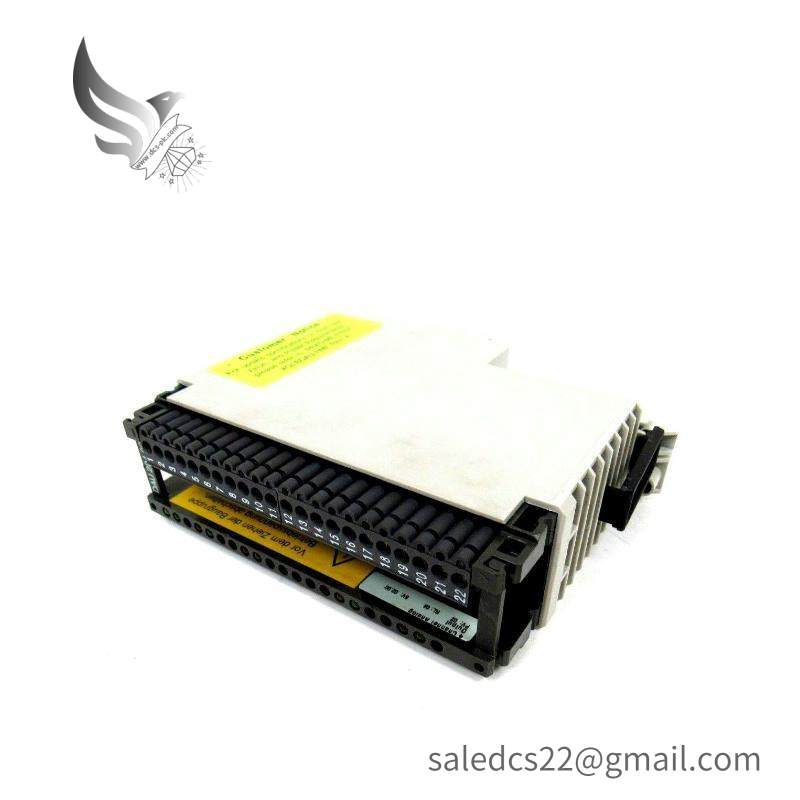 Schneider AS-BDAU-204 ANALOG OUTPUT MODULE