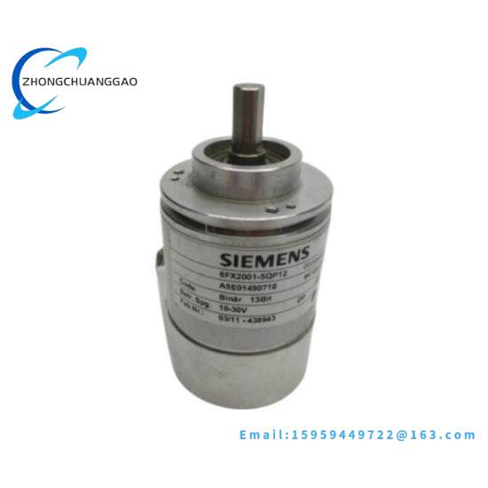 SIEMENS SMP-E217