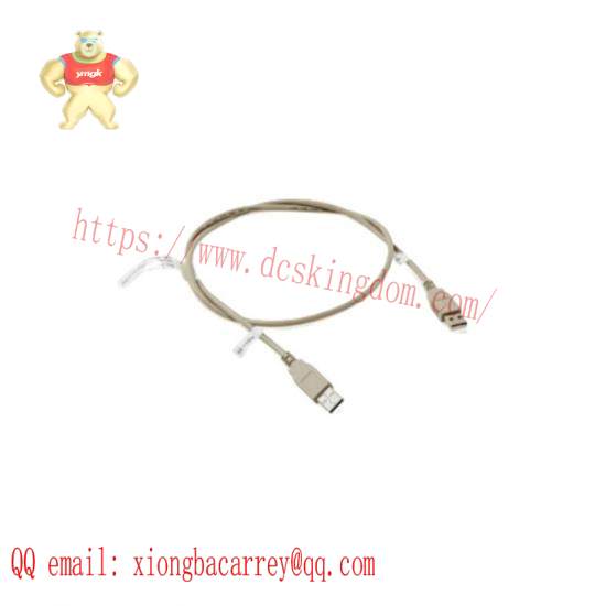 ABB 3HAC021975-001 Harness-DSQC604/Computer unit USB
