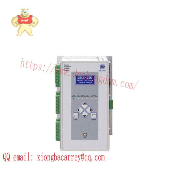Basler DECS-200-2L