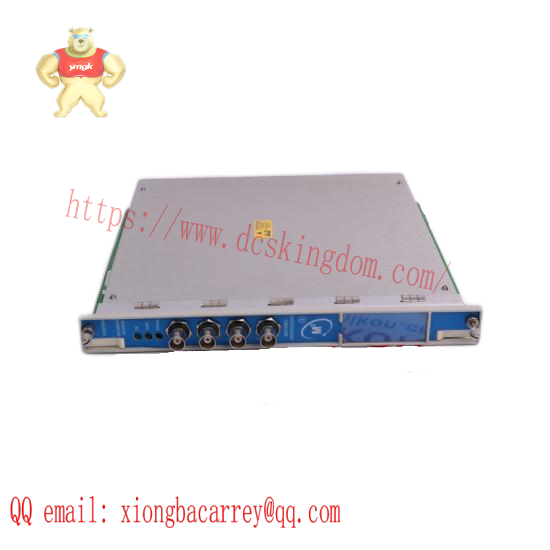 Bently Nevada 300103-A00-B09-C10-D02-E0