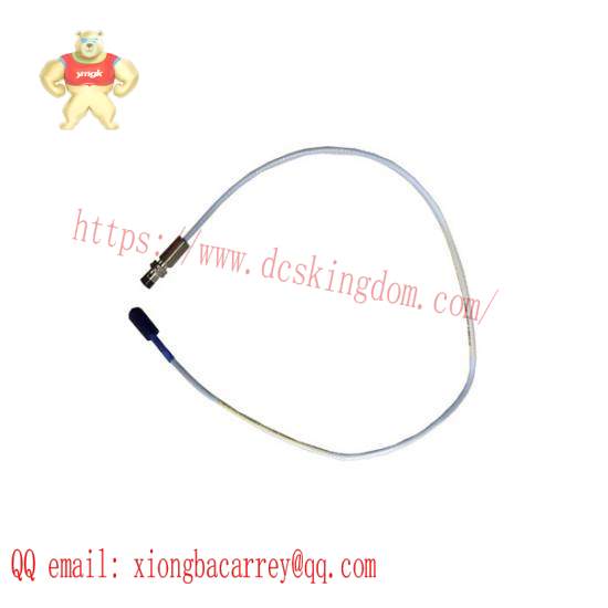 Bently Nevada BN33OOXL-330106-05-30--C10-D02-E00 Reverse Mount Probes