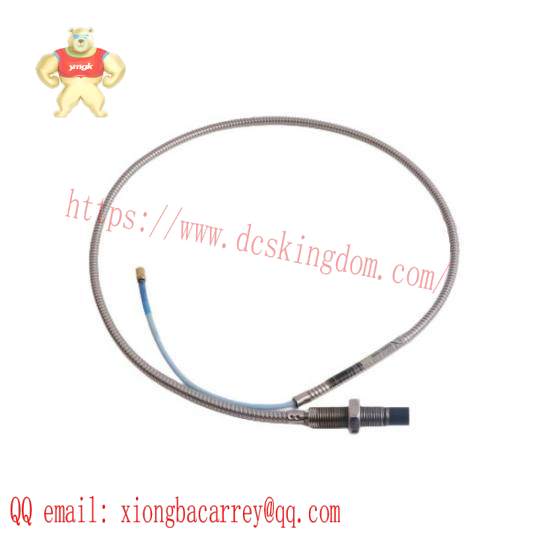 Bently Nevada RS901104-03-050-10-01 R200602-400808
