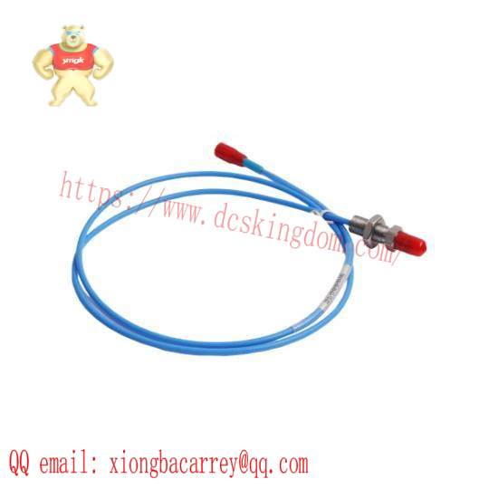 Bently Nevada WT0181-A45-B00 Extension Cable