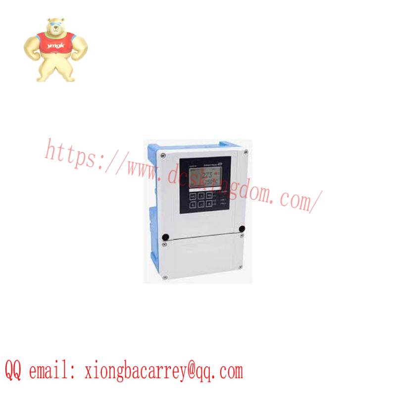 E+H COM253-WX0005 Dissolved Oxygen Measurement