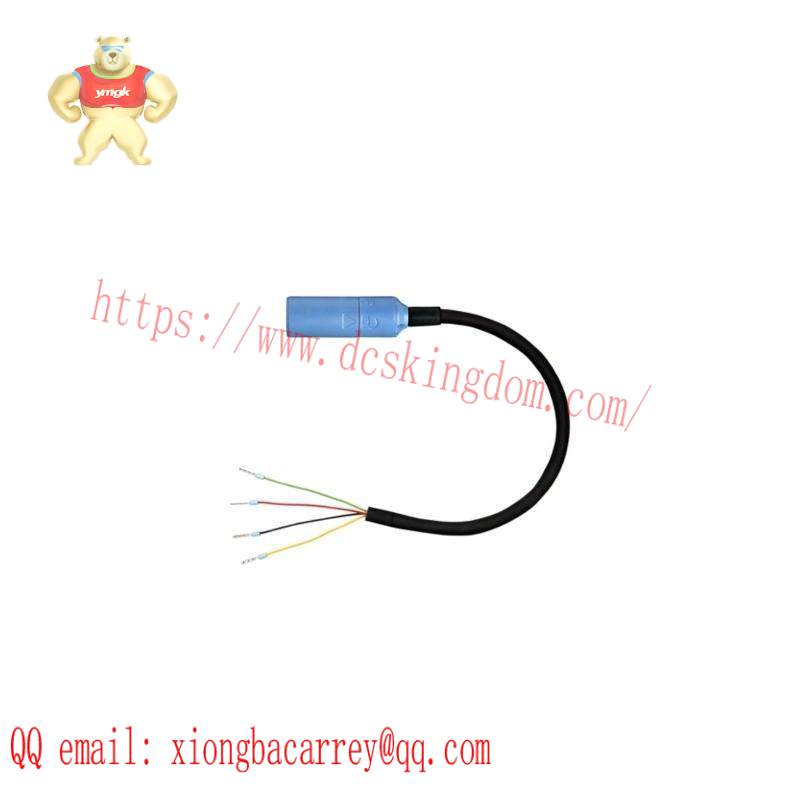 E+H CYK10-A201 Measuring Cable