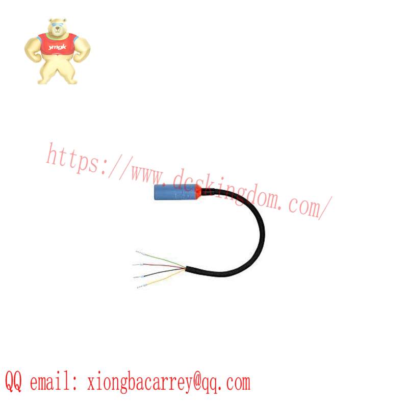 E+H CYK10-G101 Digital Measuring Cable