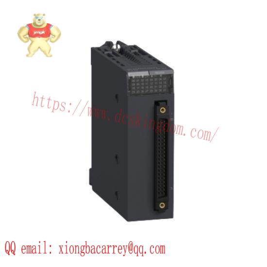 Discrete Input Module BMXDD032O2K  Schneider Electric