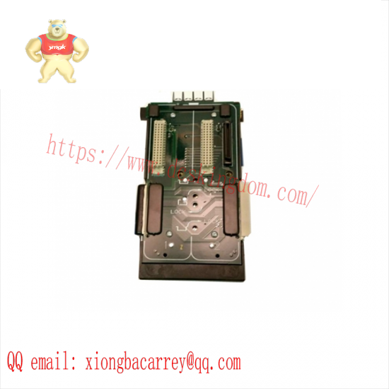EMERSON VE4007 Fieldbus Card