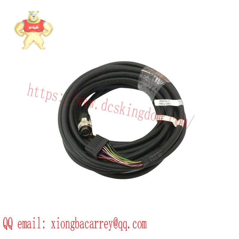 FANUC 2007-T364 Cable