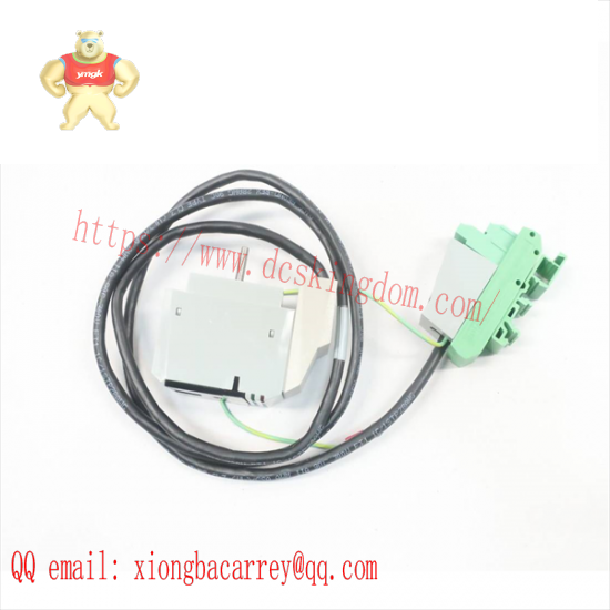 FOXBORO P0800DC Isolator Cable