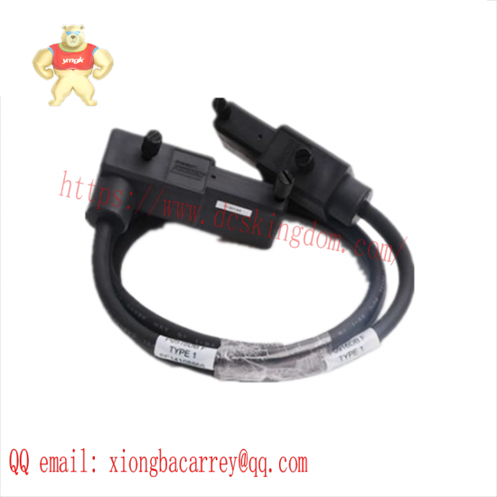 FOXBORO P0916FH Rev C Cable