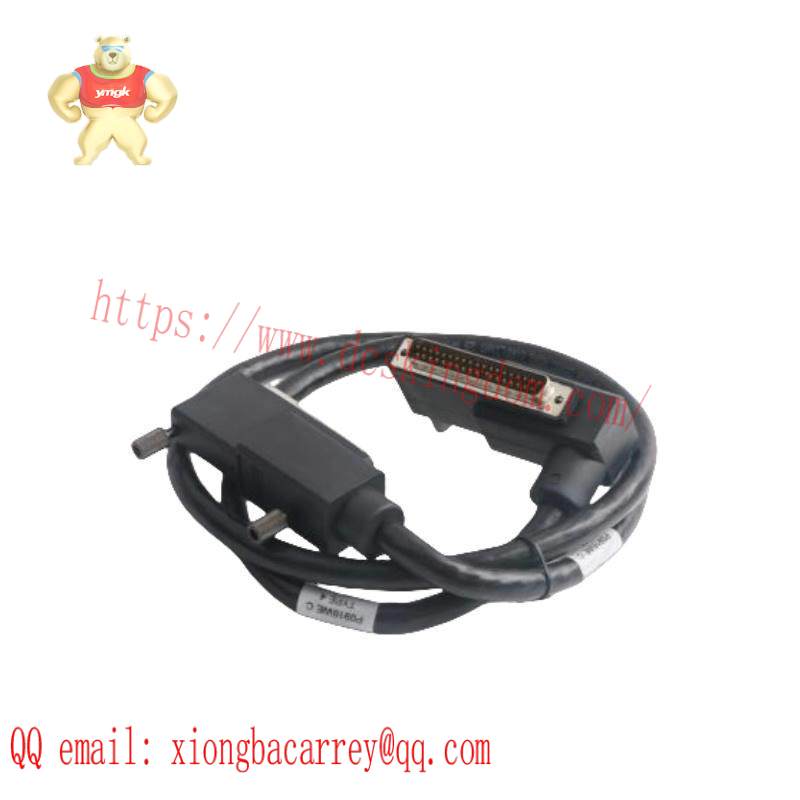 Foxboro P0916WE TERMINATION CABLE