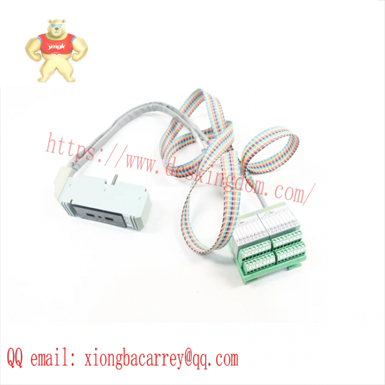 FOXBORO P0916WF