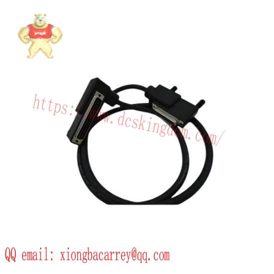 Foxboro RH916DB  Termination Cable