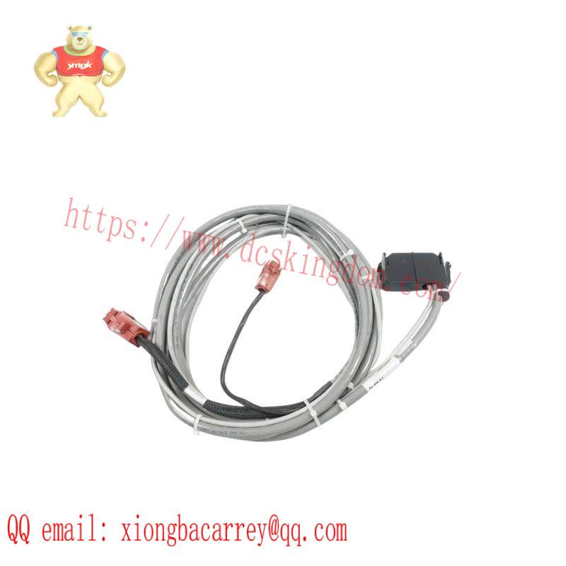 GE D20C TERMINATION
