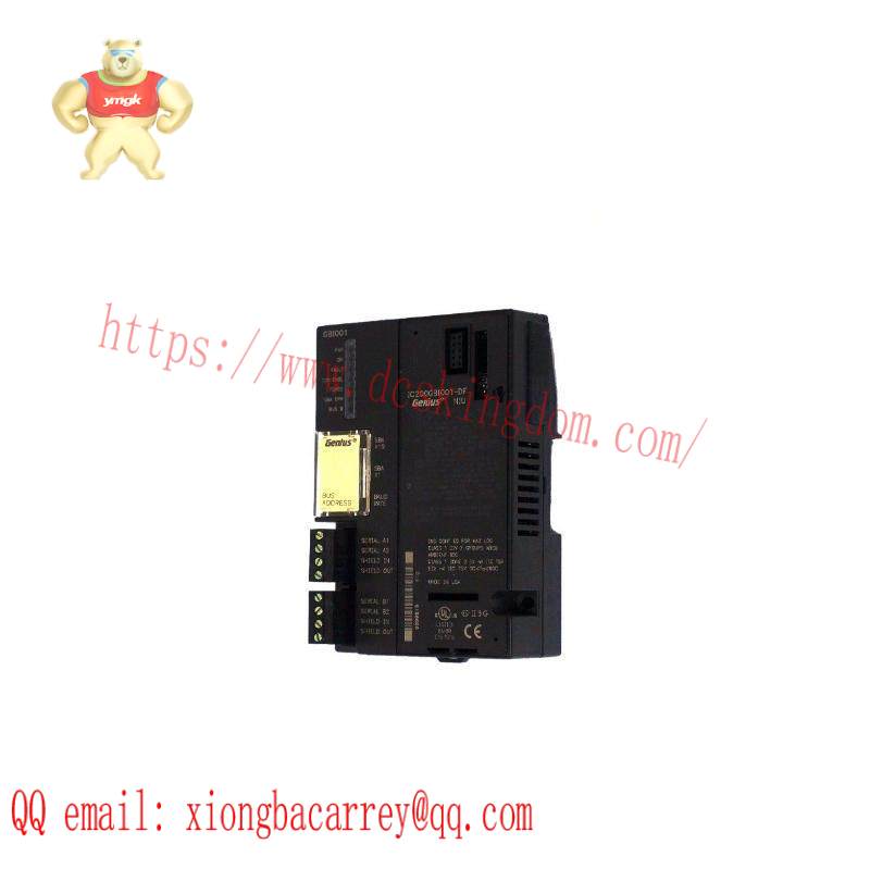 GE DS200CTBAG1ADD