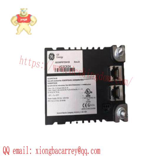 GE DS200RTBAG2AFB