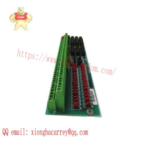 GE Fanuc DS200TBQCG1AAA  Terminal Panel