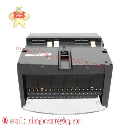 GE FANUC IC200CHS002