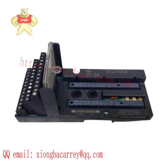 GE FANUC IC200CHS022