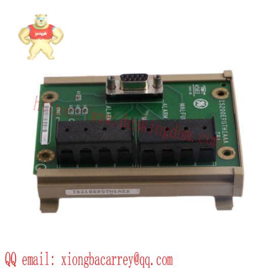GE FANUC IS200ERGTH1AAA Circuit board