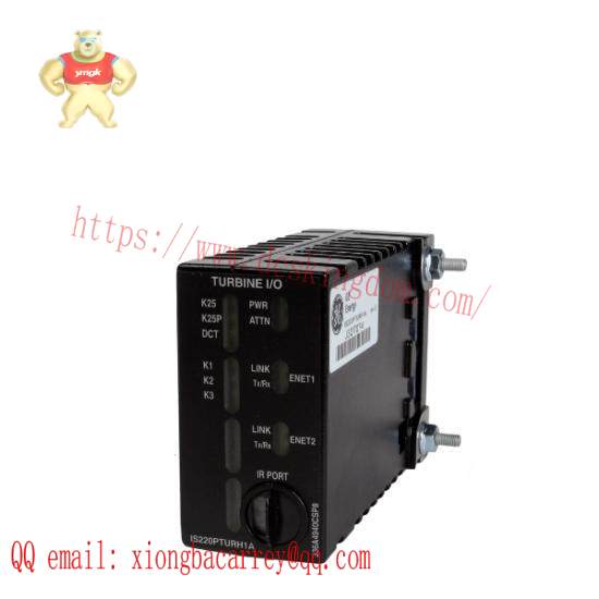 GE IS220PAICH1A Analog In/out Basic