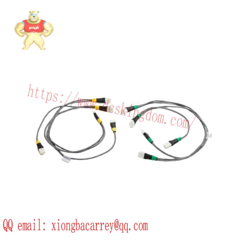 HOEYWELL 51202329-302 I/O Link Cable