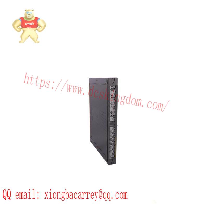 ICS TRIPLEX T811B Module