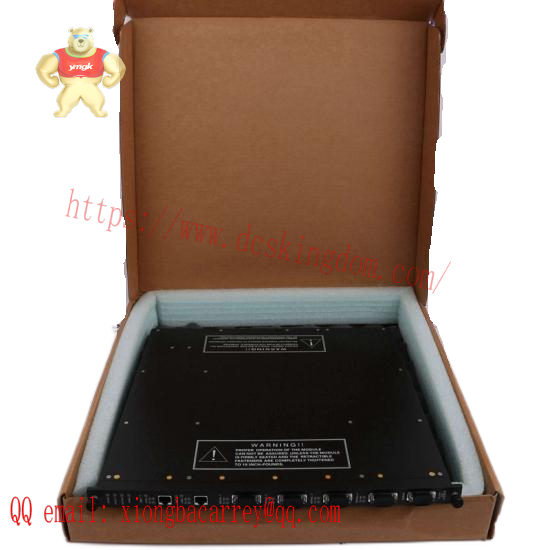 Invensys Triconex 9761-210  Panel Field Termination