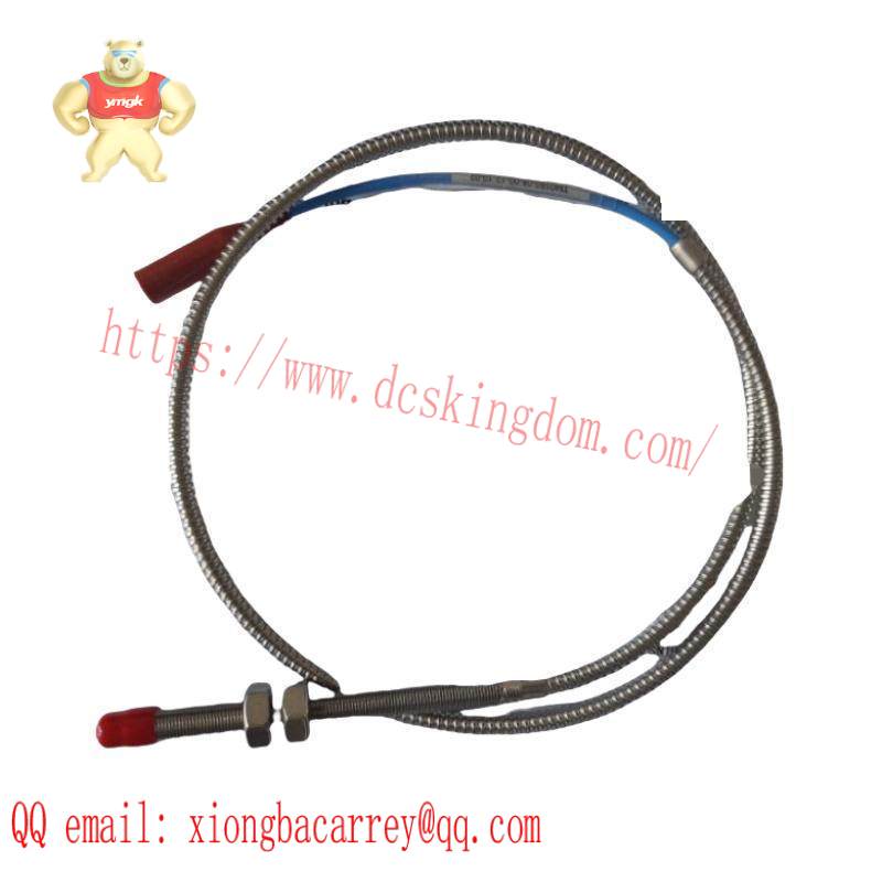 ProvibTech TM0180-A08-B00-C12-D10 Vibration probe/sensor
