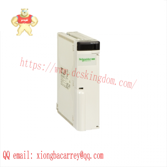 SCHNEIDER AS-BDEP-218