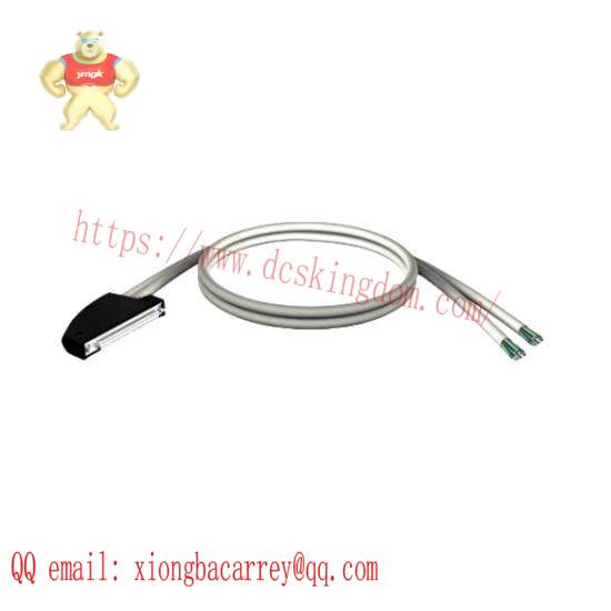 Schneider BMXFCC101 Discrete Input/Output Cable